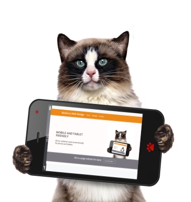 gorgeous pussy cat holds mobile phone showing banbury web design website resized