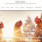 claretaylor website screenshot